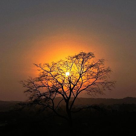 Gir Birding Lodge Sasan Gir Luaran gambar