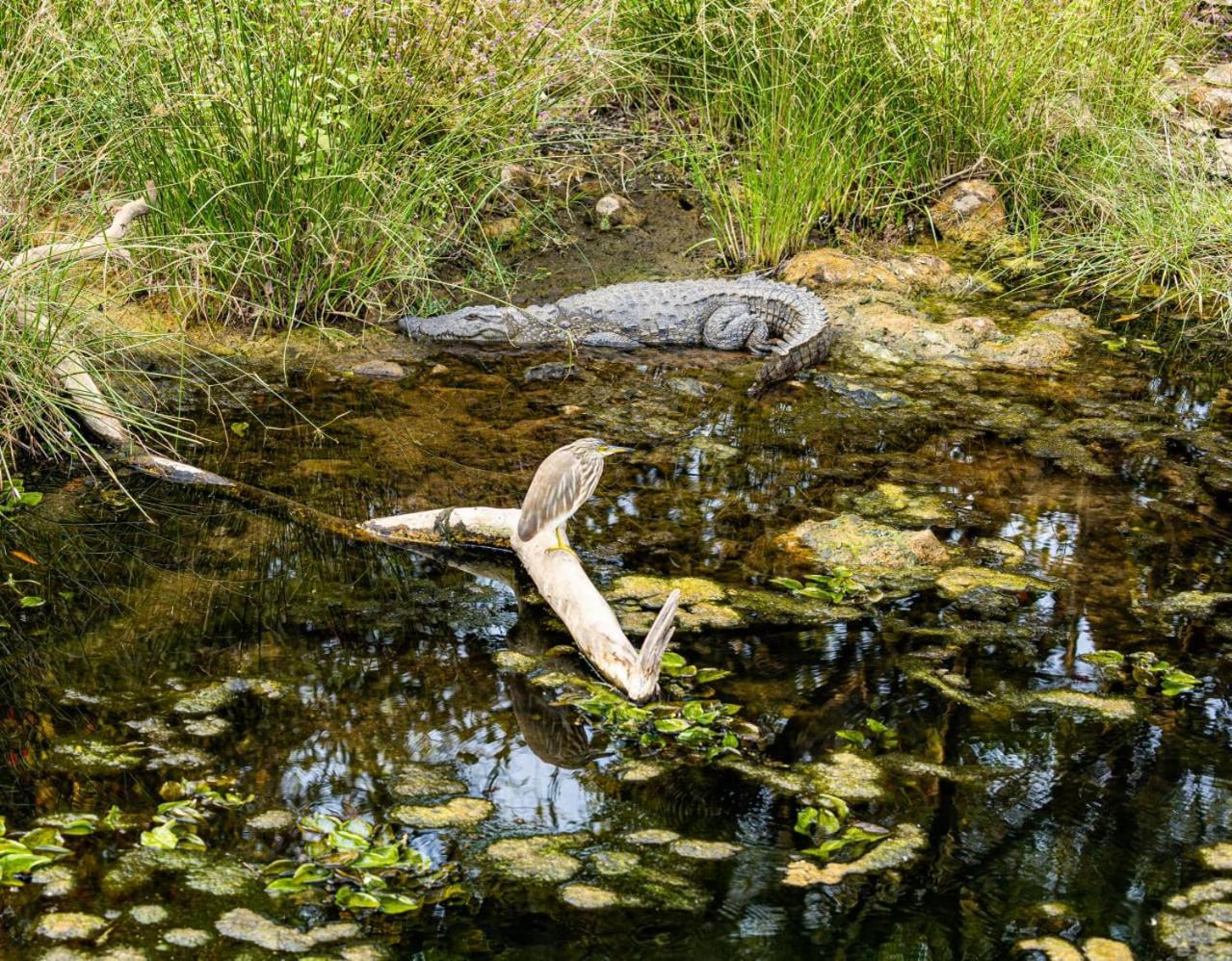 Gir Birding Lodge Sasan Gir Luaran gambar