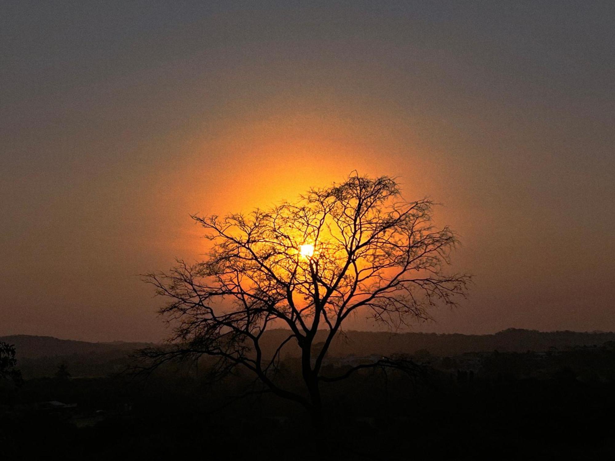 Gir Birding Lodge Sasan Gir Luaran gambar